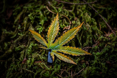 Handcrafted Leather Cannabis Leaf Hair Clip - Green - Artistic Marijuana - Inspired Accessory - Lotus Leather