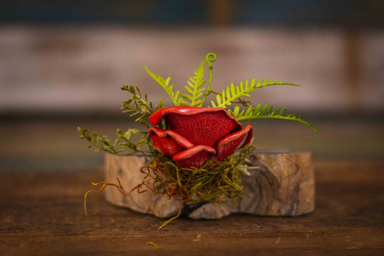 Handmade Leather Pink Oyster Mushroom Hair Clip – Nature-Inspired  Cottagecore Hair Accessory